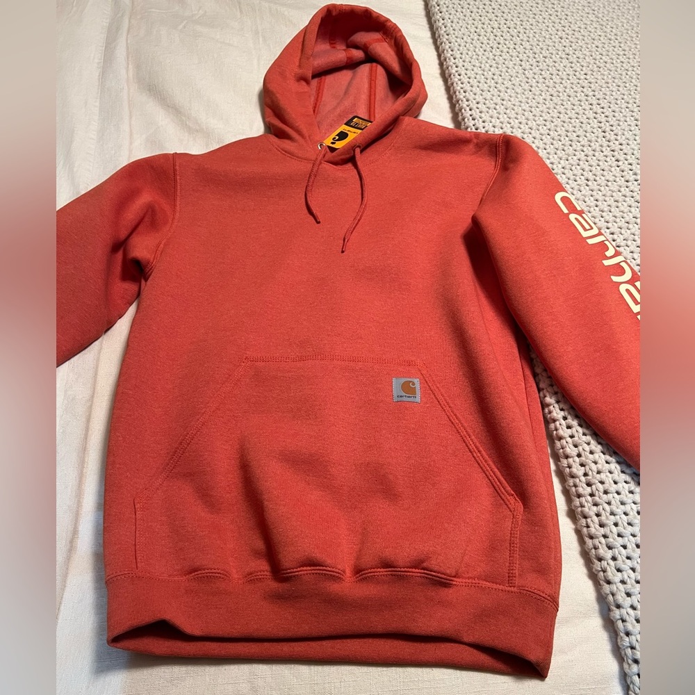 🔨 CARHARTT 🔨NWT LOOSE FIT MIDWEIGHT LOGO SLEEVE GRAPHIC HOODIE, MENS SMALL
